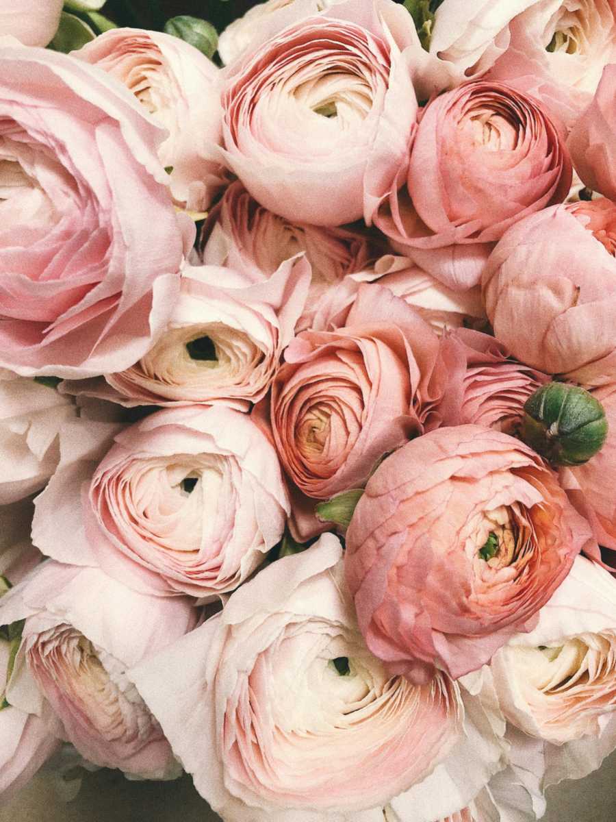 Beautiful flowers in Guatemala